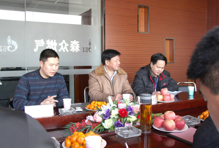 林口县政府与常州明亮移动互联网营销有限公司燃气项目洽谈.png